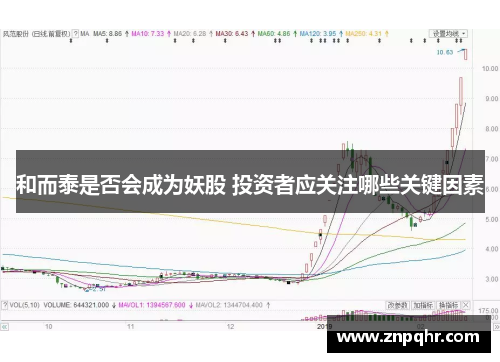 和而泰是否会成为妖股 投资者应关注哪些关键因素