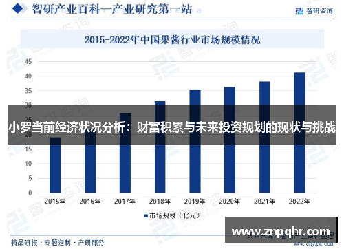 小罗当前经济状况分析：财富积累与未来投资规划的现状与挑战