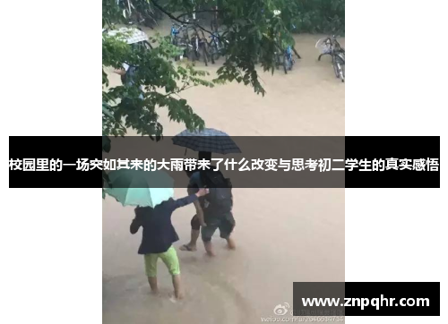 校园里的一场突如其来的大雨带来了什么改变与思考初二学生的真实感悟