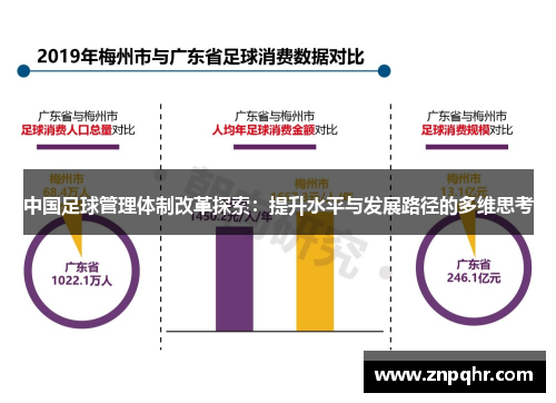 中国足球管理体制改革探索：提升水平与发展路径的多维思考