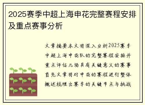 2025赛季中超上海申花完整赛程安排及重点赛事分析