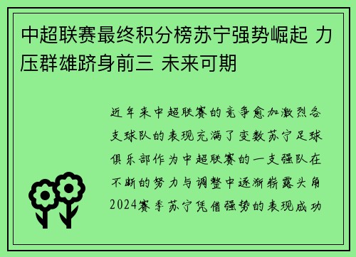 中超联赛最终积分榜苏宁强势崛起 力压群雄跻身前三 未来可期